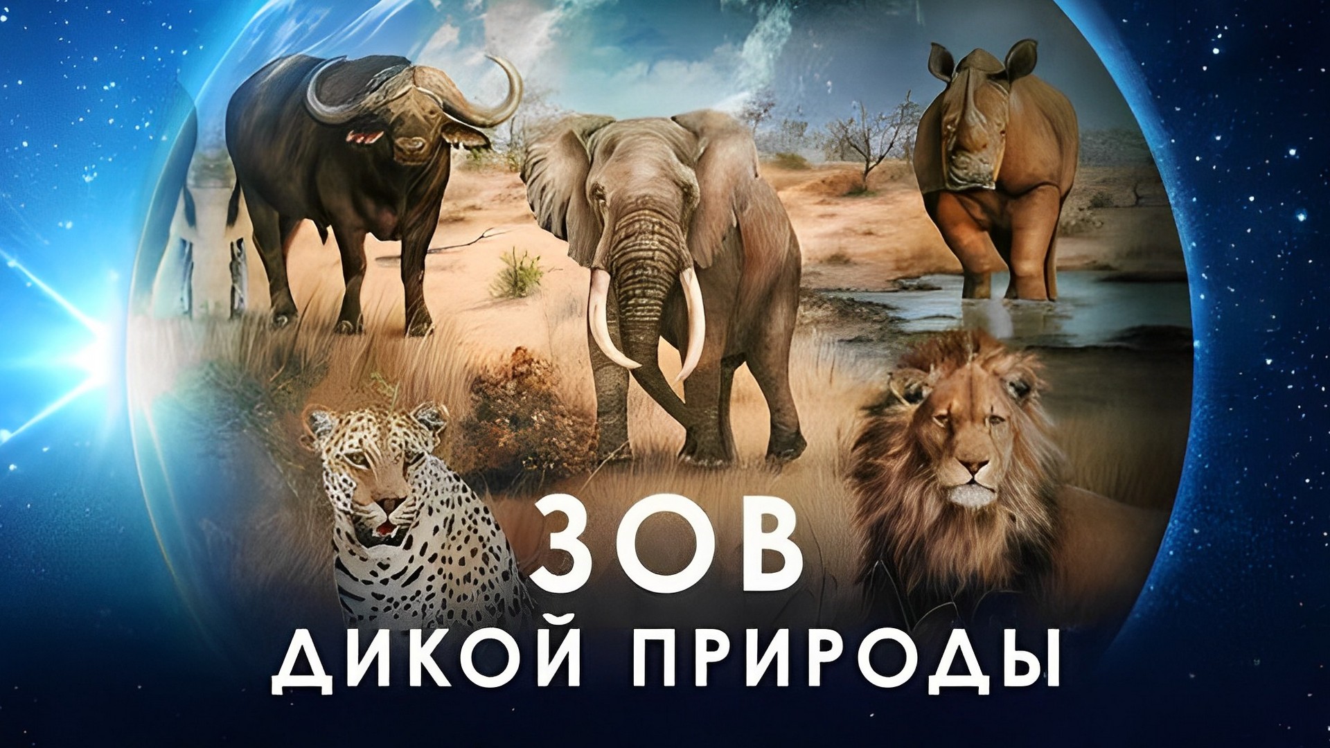 Животные наши целители. Зов дикой природы цитаты. Дикий зов. Зов предков 2020 кадры. Зов дика.